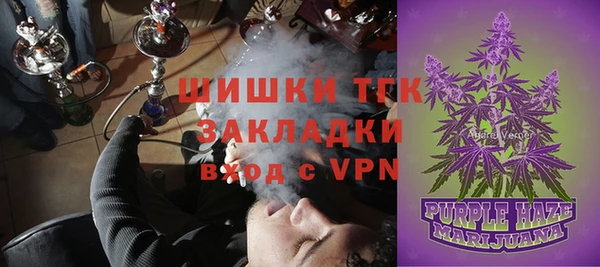 ГАЛЛЮЦИНОГЕННЫЕ ГРИБЫ Алексин