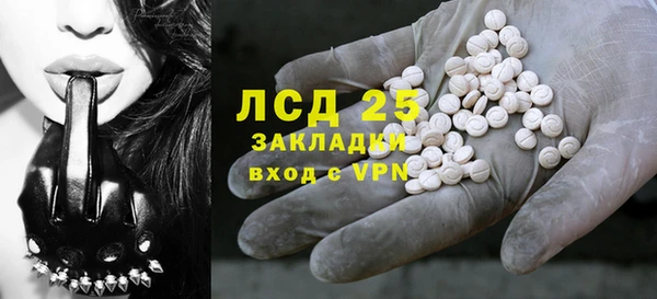 ГАЛЛЮЦИНОГЕННЫЕ ГРИБЫ Алексин